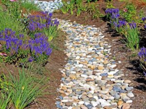 picture of french drain