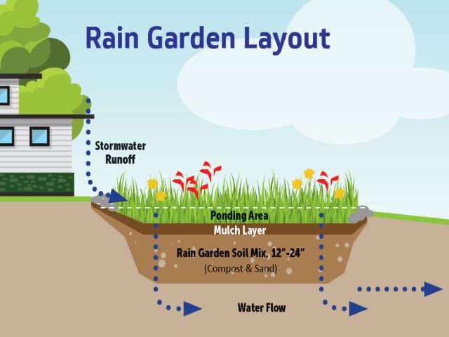 diagram of rain garden